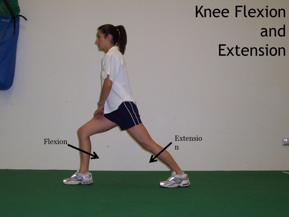 Knee Flexion and Extension