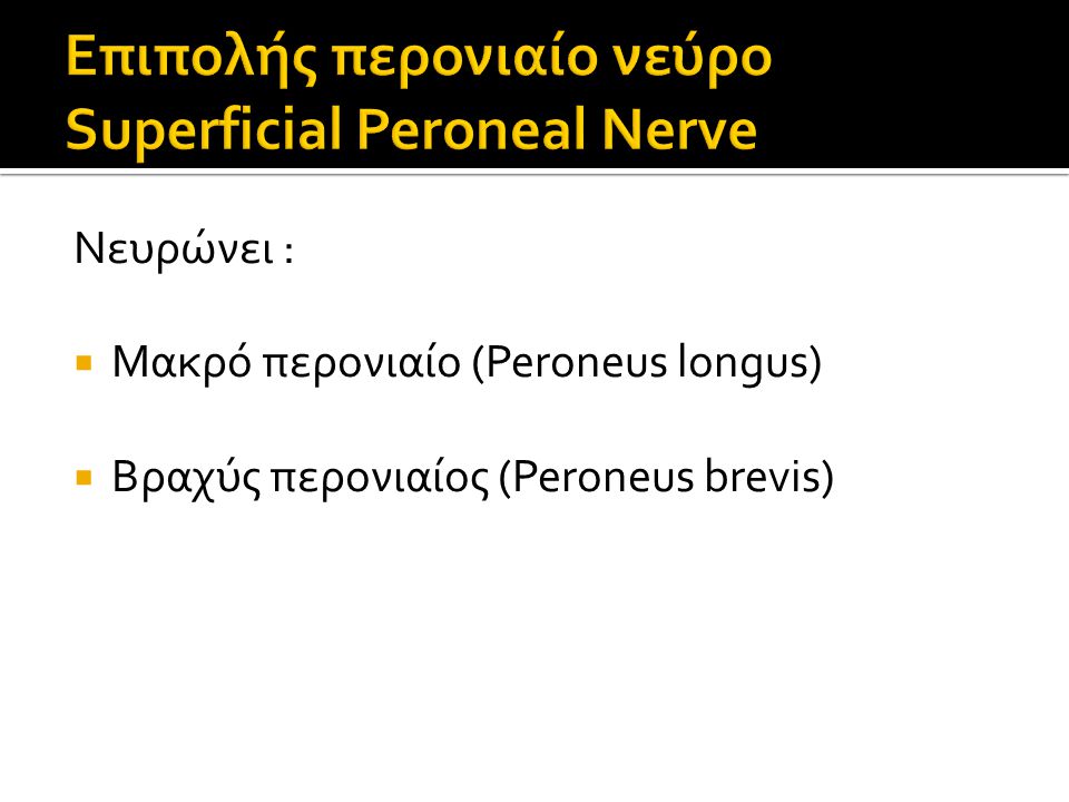 Επιπολής περονιαίο νεύρο Superficial Peroneal Nerve