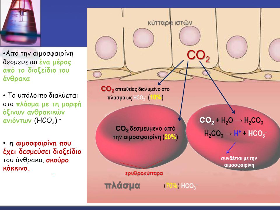 CO2 πλάσμα CO2 + Η2Ο → Η2CO3 Η2CO3 → H+ + HCO3– κύτταρα ιστών