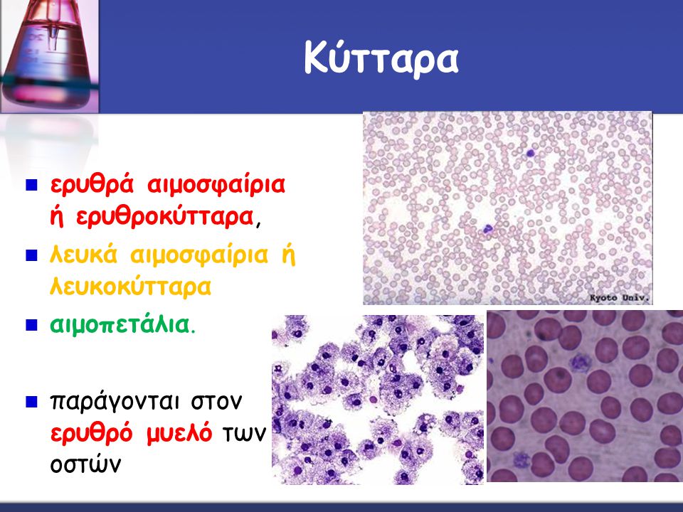 Κύτταρα ερυθρά αιμοσφαίρια ή ερυθροκύτταρα,