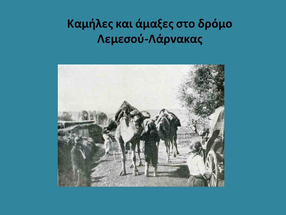 Καμήλες και άμαξες στο δρόμο Λεμεσού-Λάρνακας