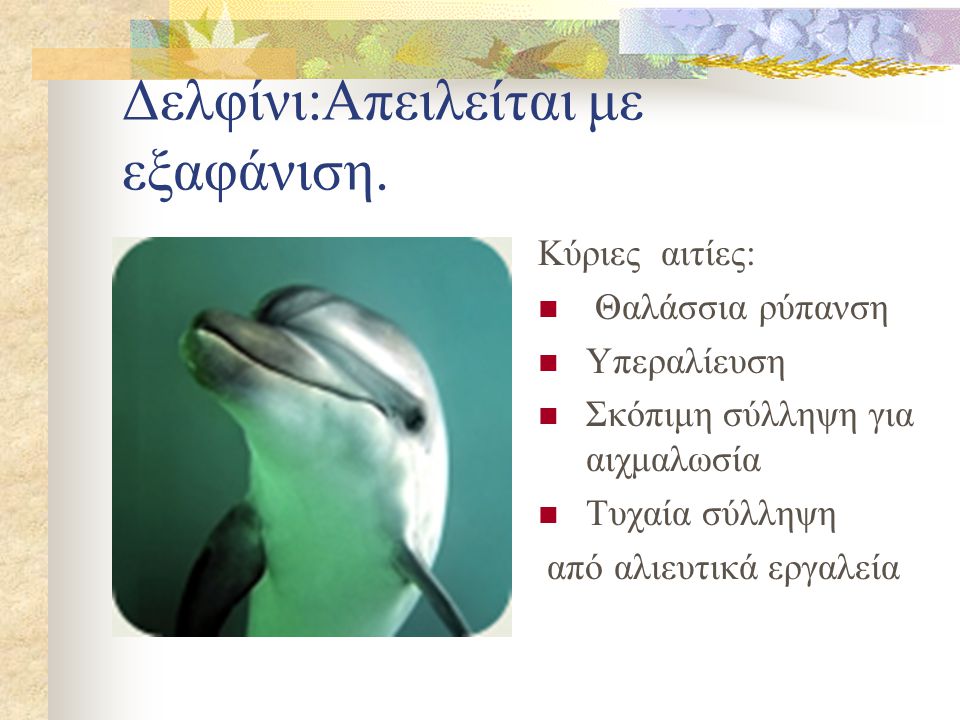 Δελφίνι:Απειλείται με εξαφάνιση.