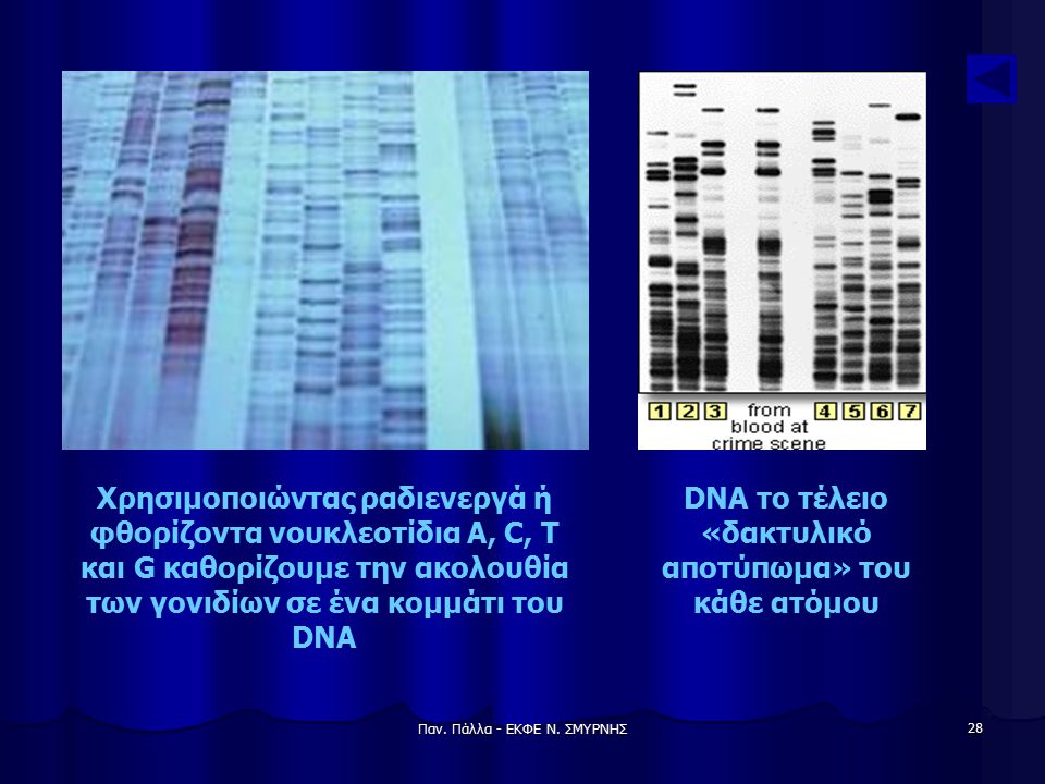 DNA το τέλειο «δακτυλικό αποτύπωμα» του κάθε ατόμου