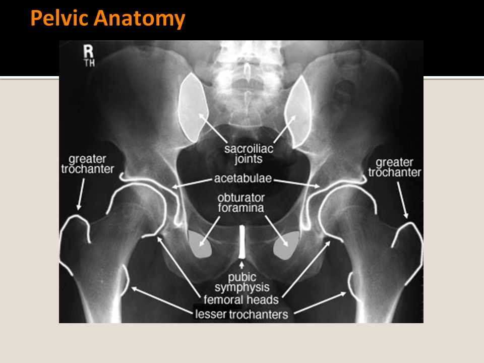 Pelvic Anatomy Symmetry is key to accurate analysis of the pelvic girdle.