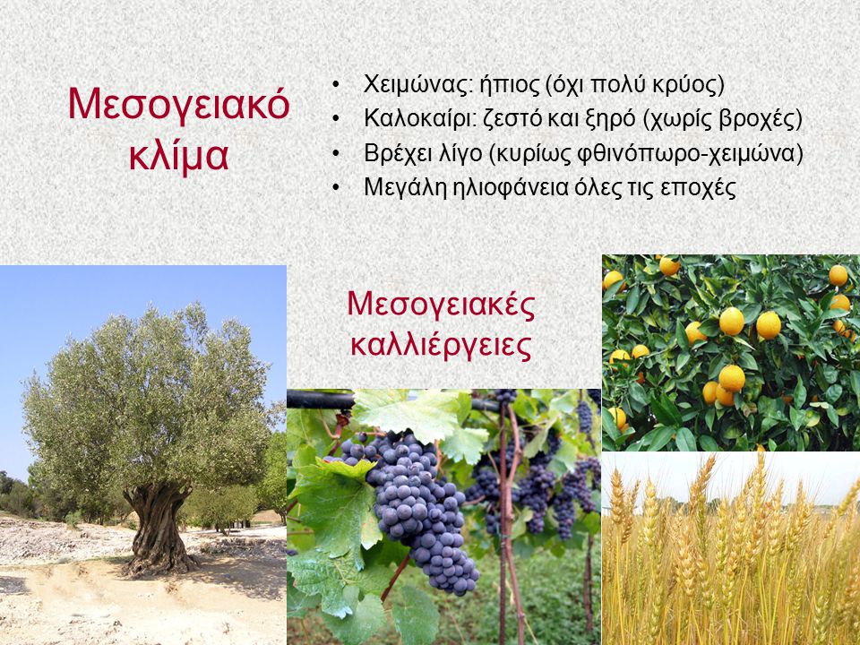Μεσογειακές καλλιέργειες