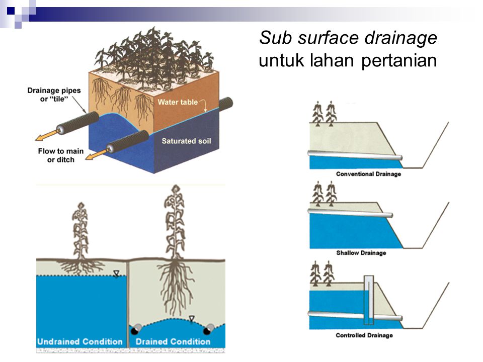 Sub surface drainage untuk lahan pertanian