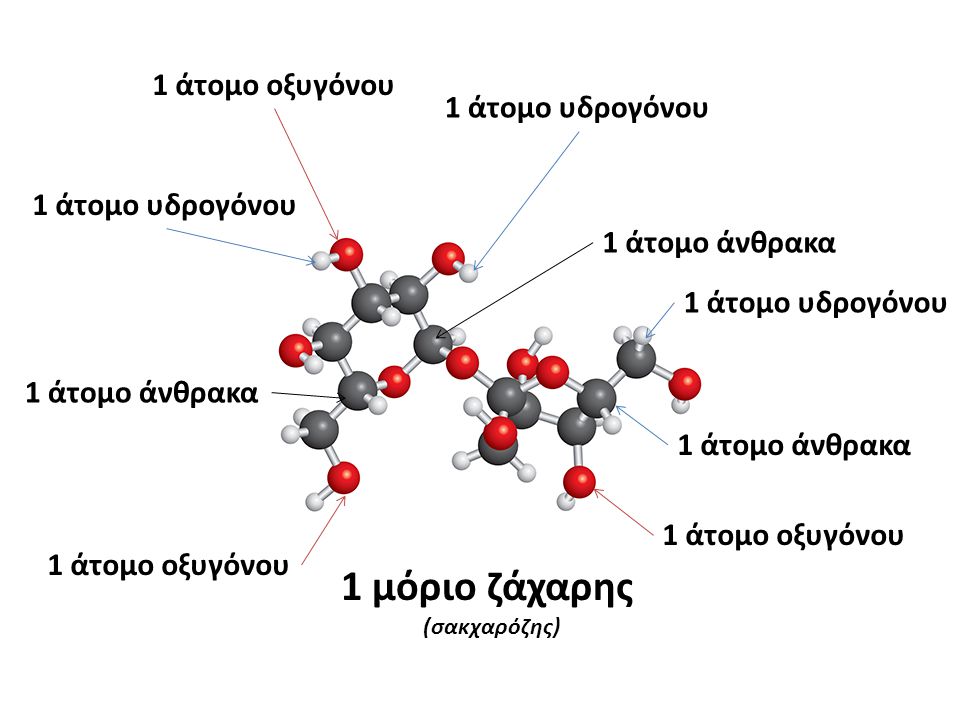 1 μόριο ζάχαρης 1 άτομο οξυγόνου 1 άτομο υδρογόνου 1 άτομο υδρογόνου