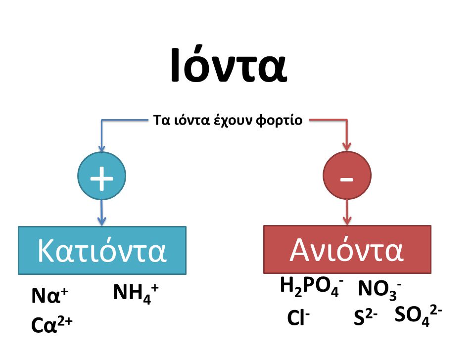 Ιόντα + - Κατιόντα Ανιόντα H2PO4- NO3- NH4+ Να+ SO42- Cl- S2- Cα2+