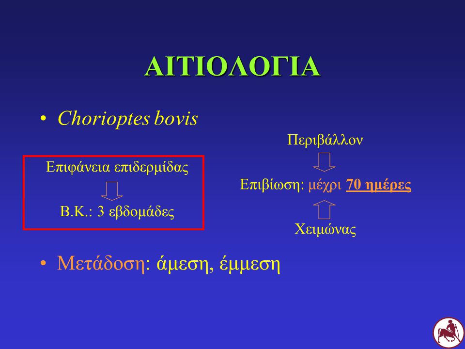 ΑΙΤΙΟΛΟΓΙΑ Chorioptes bovis Μετάδοση: άμεση, έμμεση Περιβάλλον