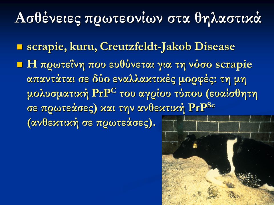 Ασθένειες πρωτεονίων στα θηλαστικά