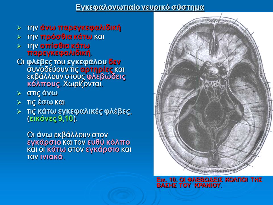 Εγκεφαλονωτιαίο νευρικό σύστημα