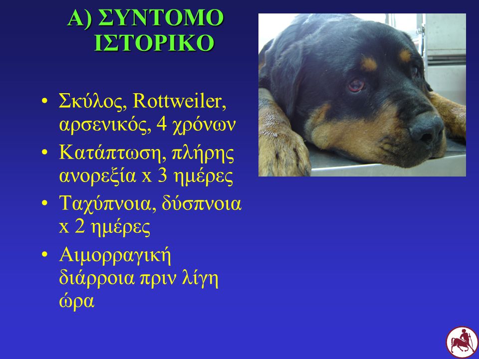 Α) ΣΥΝΤΟΜΟ ΙΣΤΟΡΙΚΟ Σκύλος, Rottweiler, αρσενικός, 4 χρόνων
