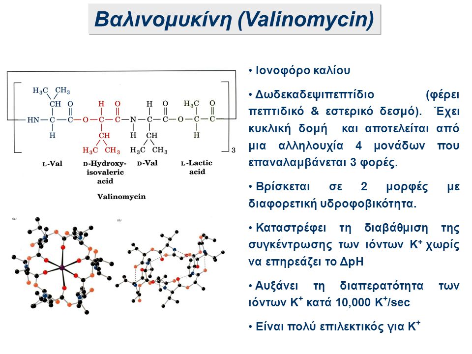 Βαλινομυκίνη (Valinomycin)