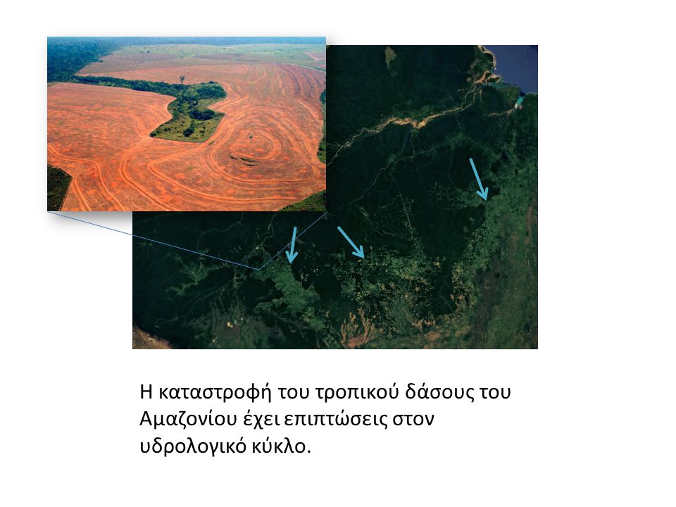 Η καταστροφή του τροπικού δάσους του Αμαζονίου έχει επιπτώσεις στον υδρολογικό κύκλο.